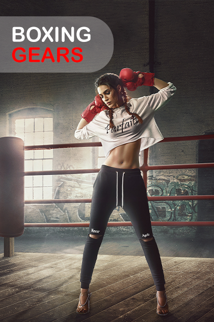 Stand Banner - Boxing Gears (1)